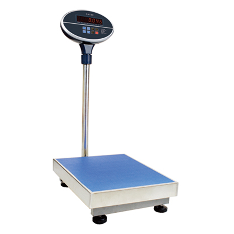 Scale TCS-300JE21 image 0