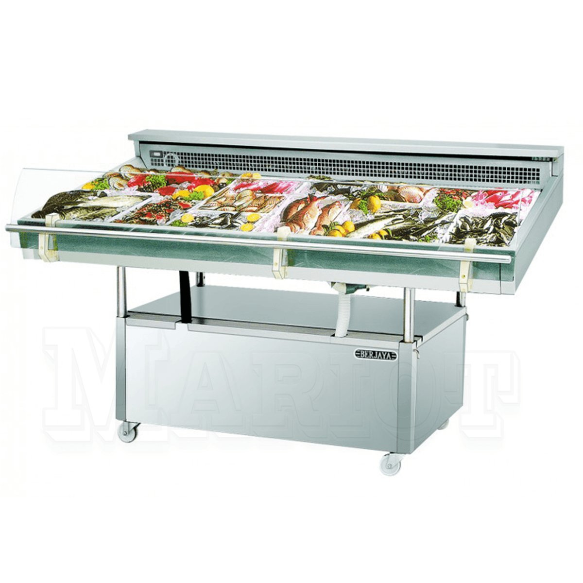 Fish Display Chiller 6 shelve- FDC6 S/S
