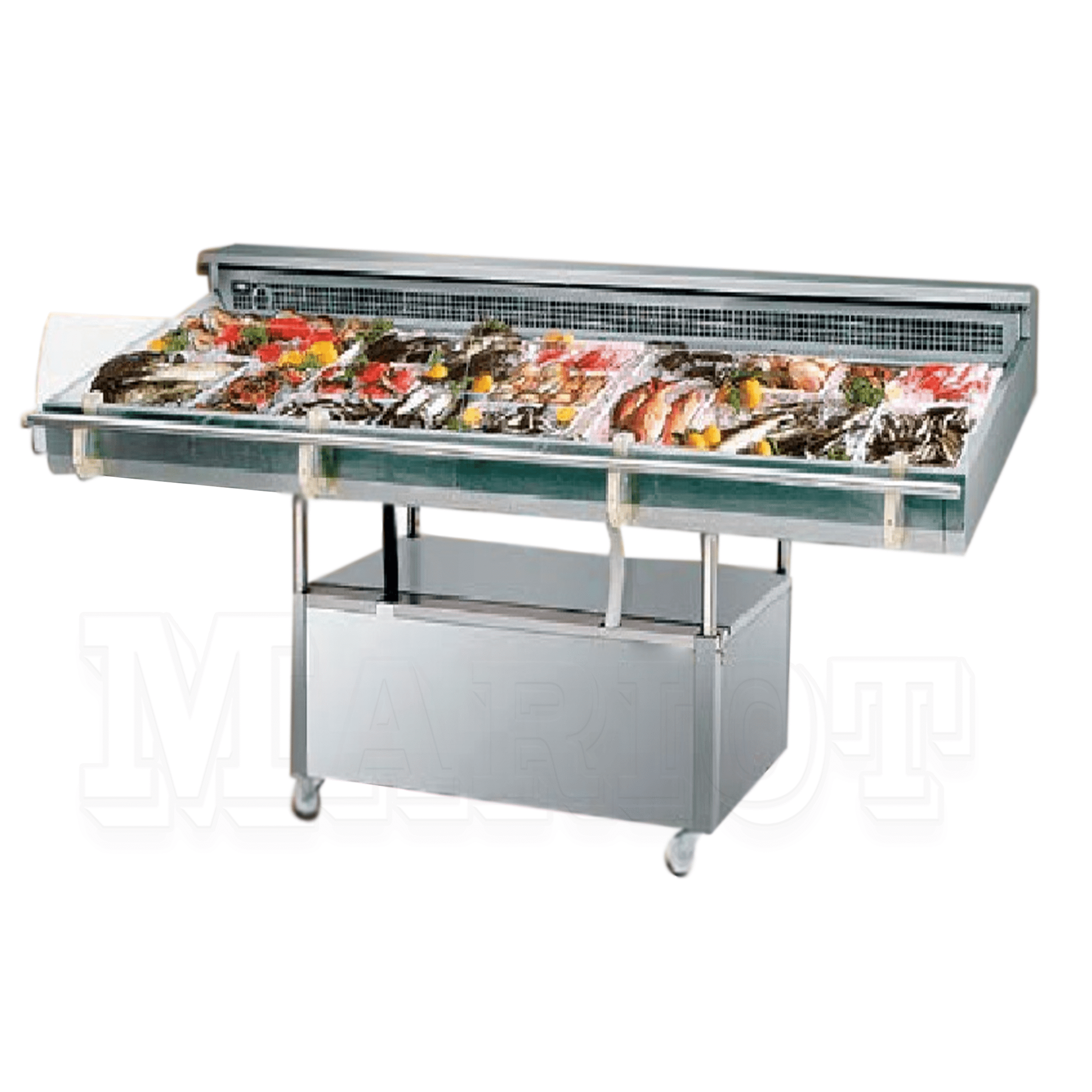 Fish Display Chiller 8 shelve- FDC8 S/S