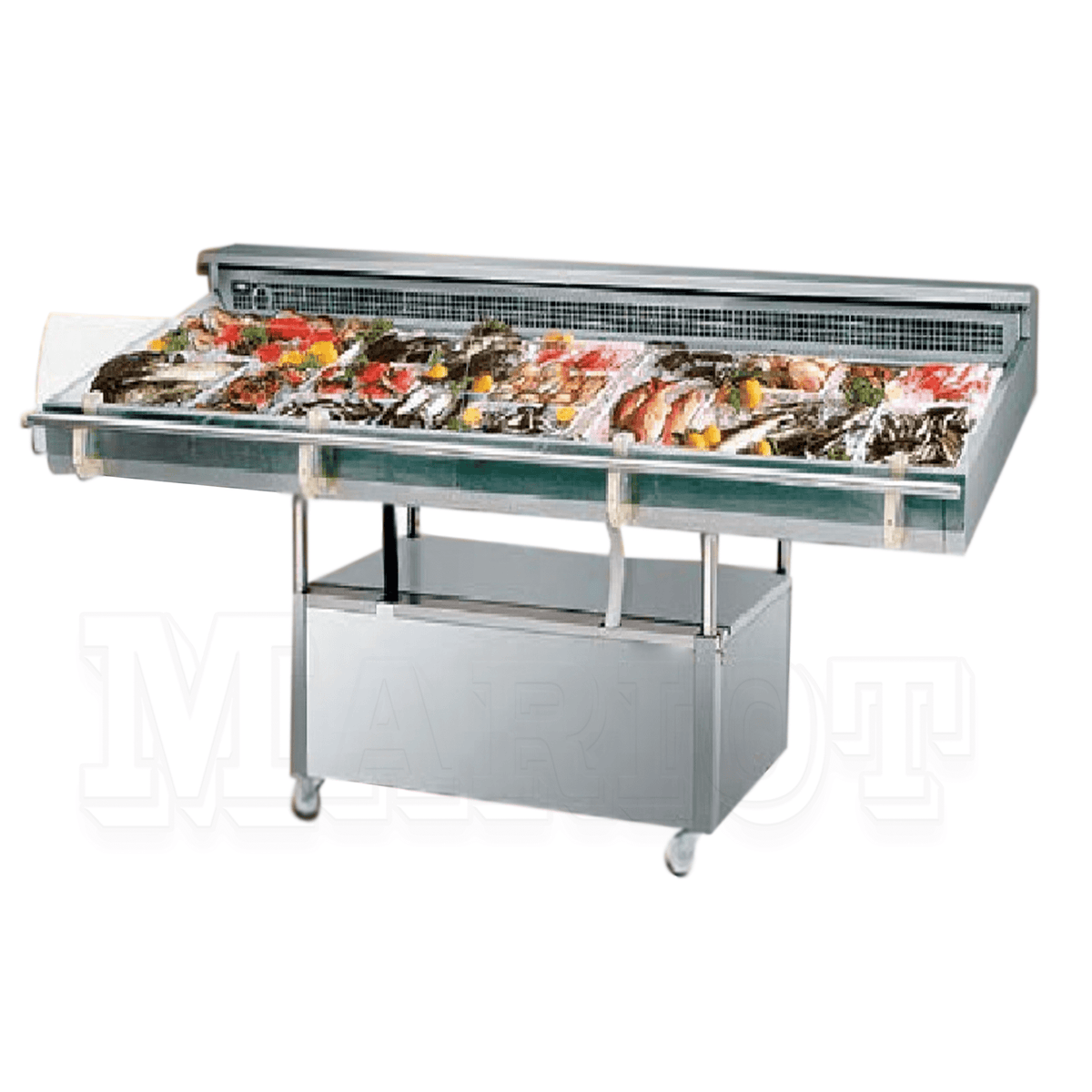 Fish Display Chiller 8 shelve- FDC8 S/S